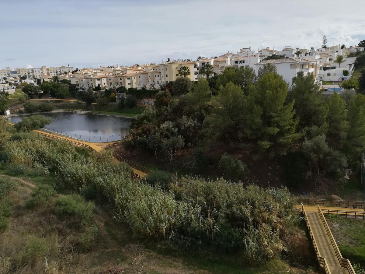 Apartment Albufeirainn - Elimar-1 T1 Albufeira