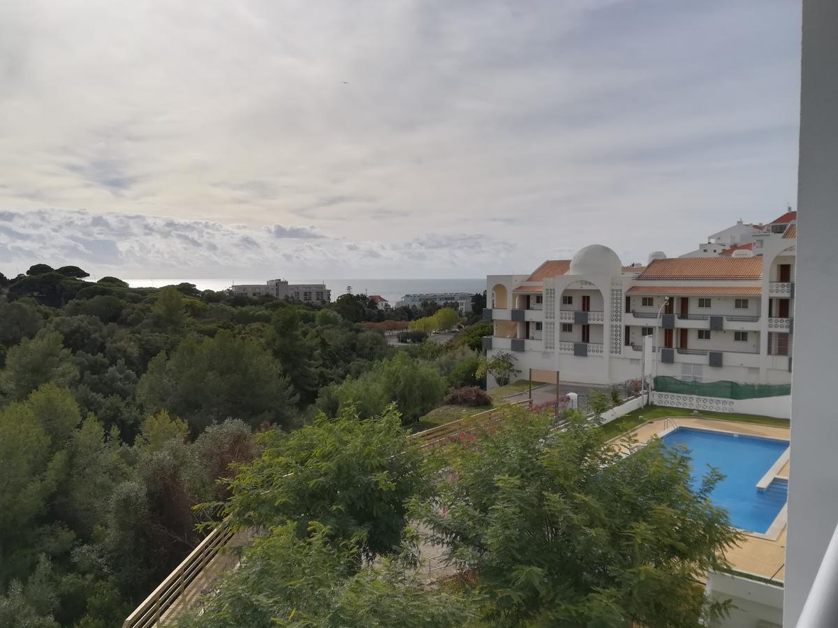 Albufeirainn - Elimar-1 T1 Albufeira